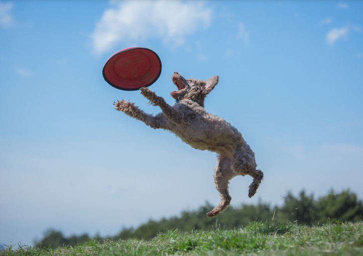 �i�`������