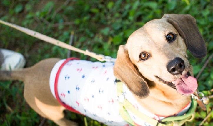 �i�`������